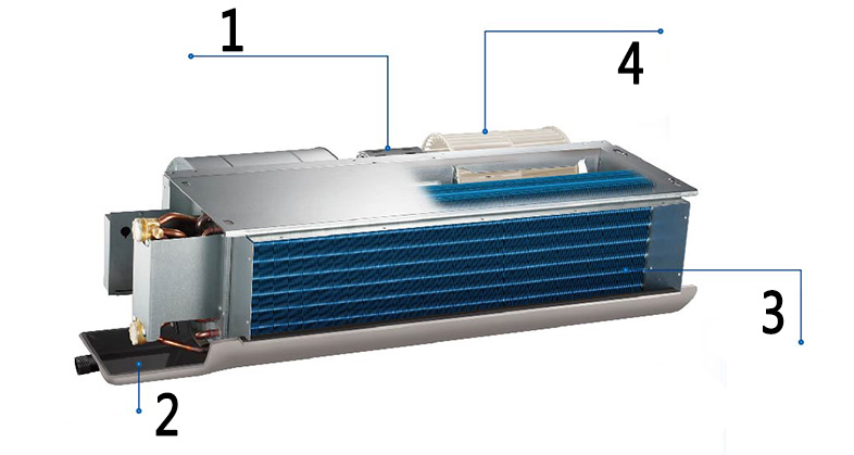 fp5.jpg